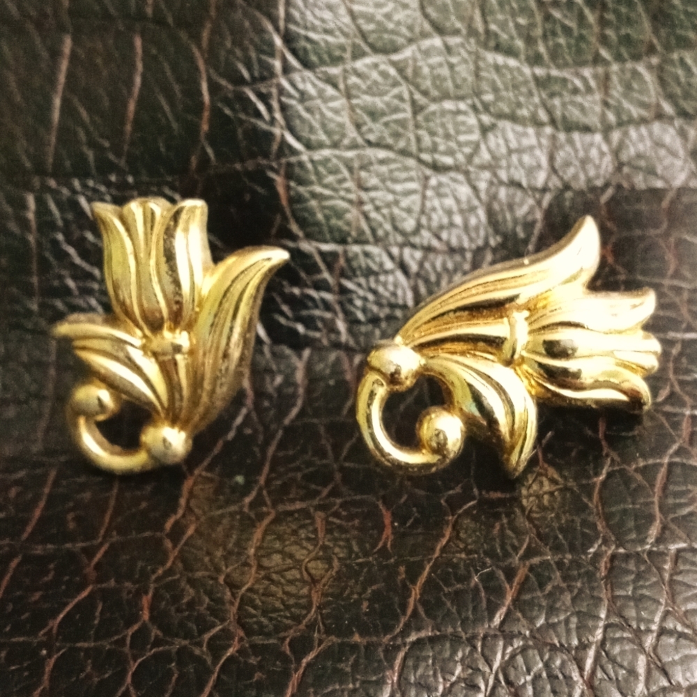 Fashion Earrings